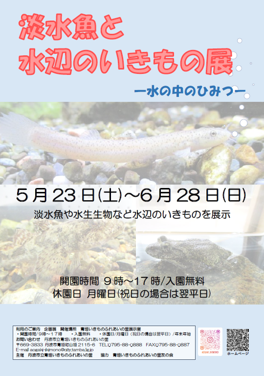 淡水魚と水辺のいきもの展のチラシ