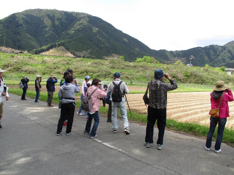 鳥を観察している
