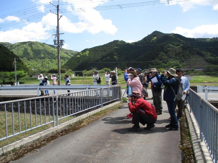 橋の上から川を見ている